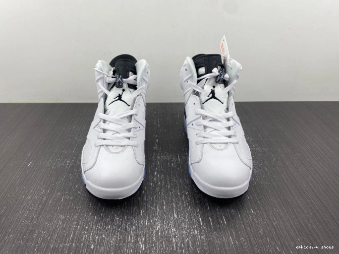 Rep Reverse CT8529-112 Oreo Air Jordan 6 0807